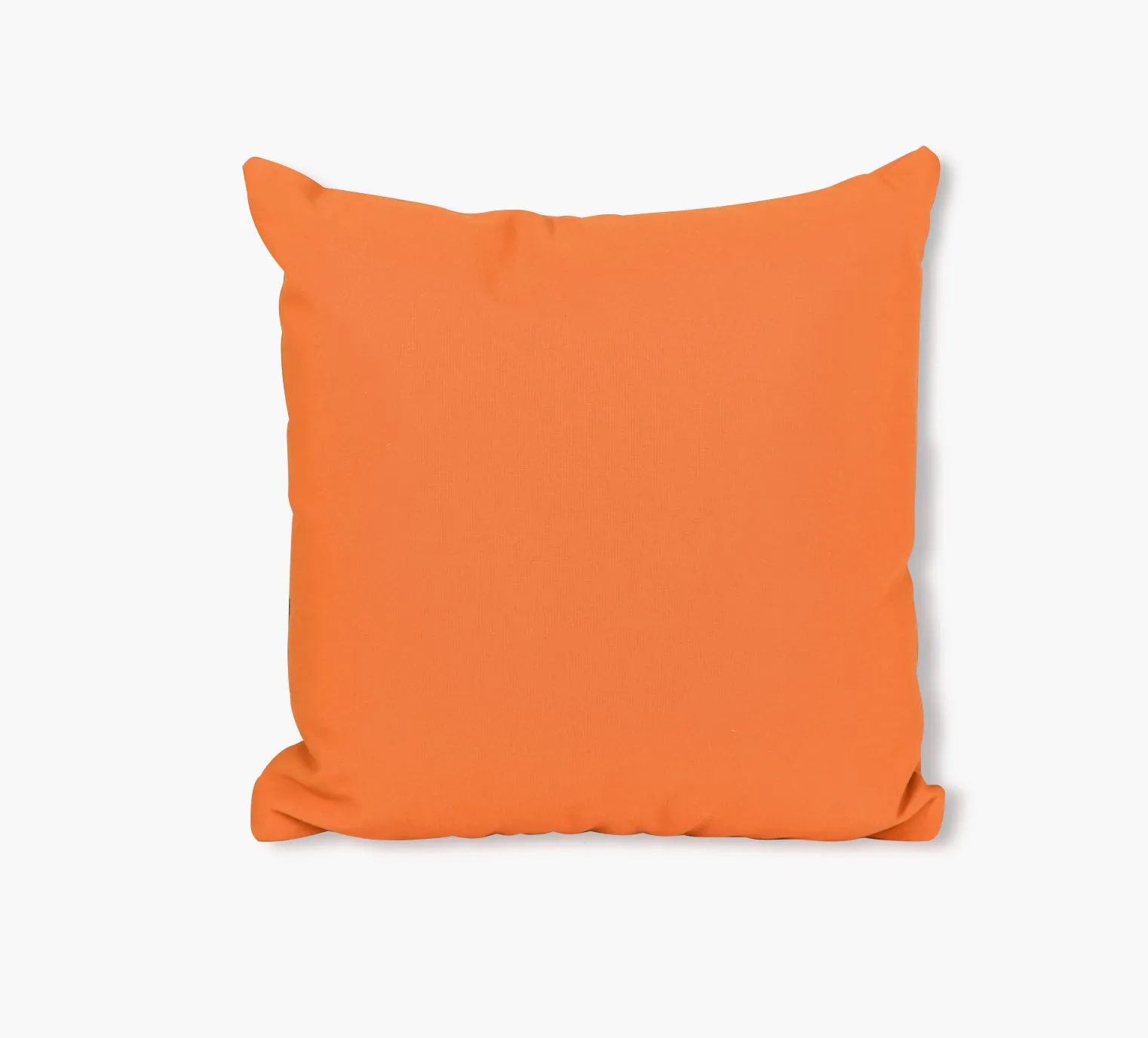 Coral Decorative Outdoor Throw Pillow
