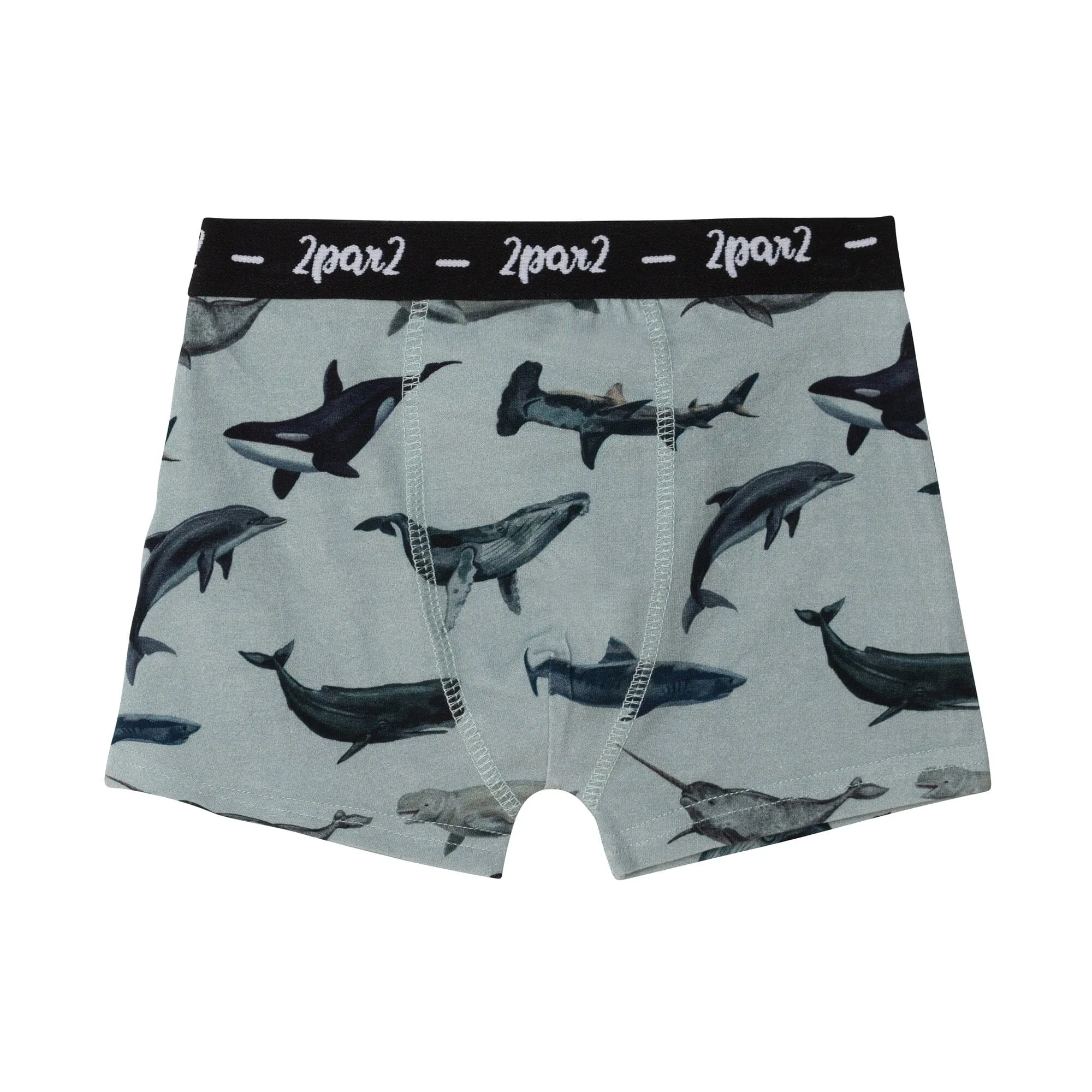 Deux par Deux Boy's Blue Sharks & Whales Printed Boxer Short