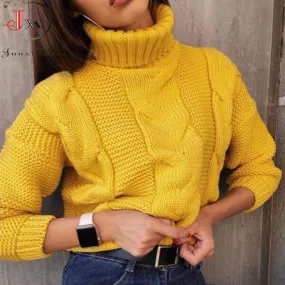 Turtleneck Pullover